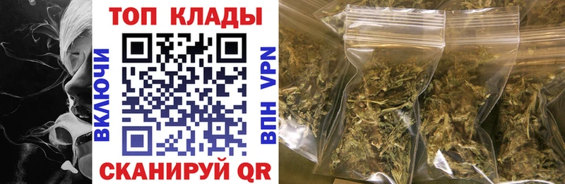 Где продают наркотики Вязники Гашиш  Альфа ПВП  Меф мяу мяу  COCAIN 