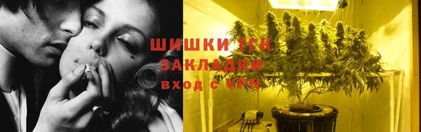 мдпв Верея