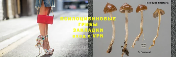 прущая мука Бородино