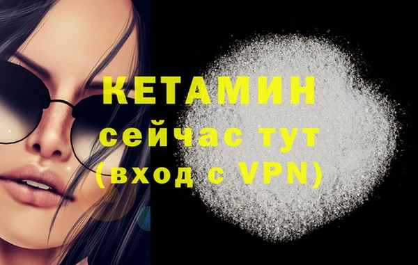 амф Верхний Тагил