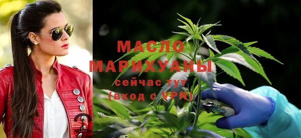 амф Верхний Тагил