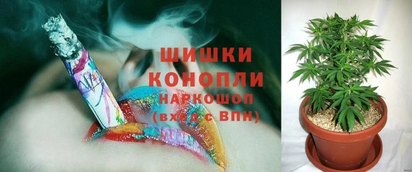 прущая мука Бородино
