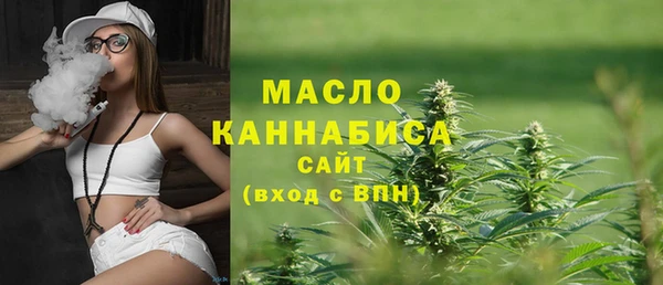 амф Верхний Тагил