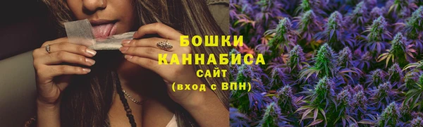 мдпв Верея