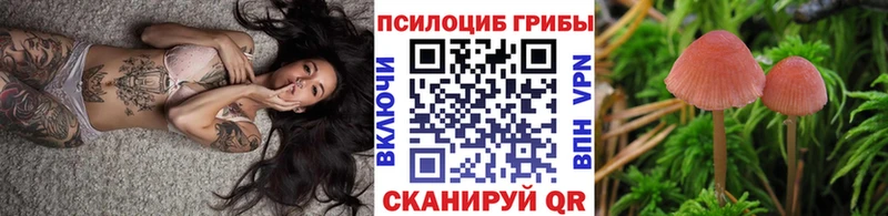 закладки  Вязники  Псилоцибиновые грибы Magic Shrooms 